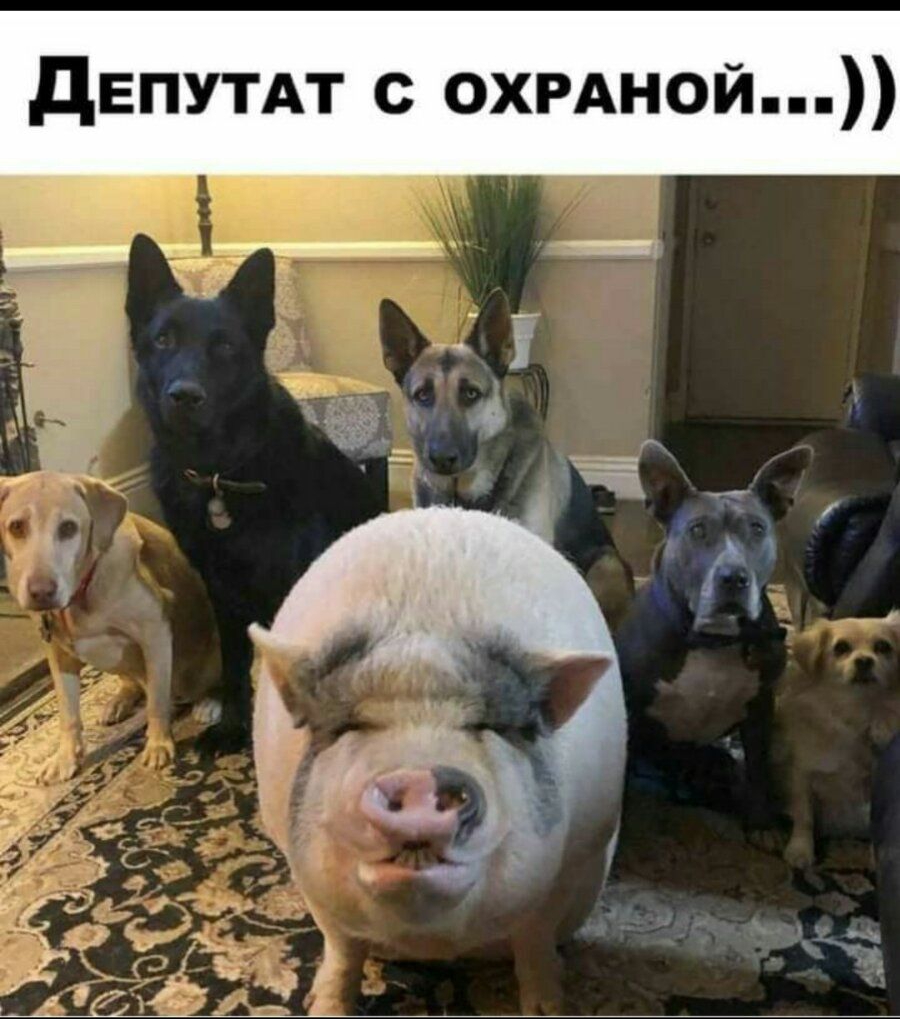 _Чт