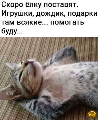 Скоро ёлку поставят Игрушки дождик подарки там всякие помогать