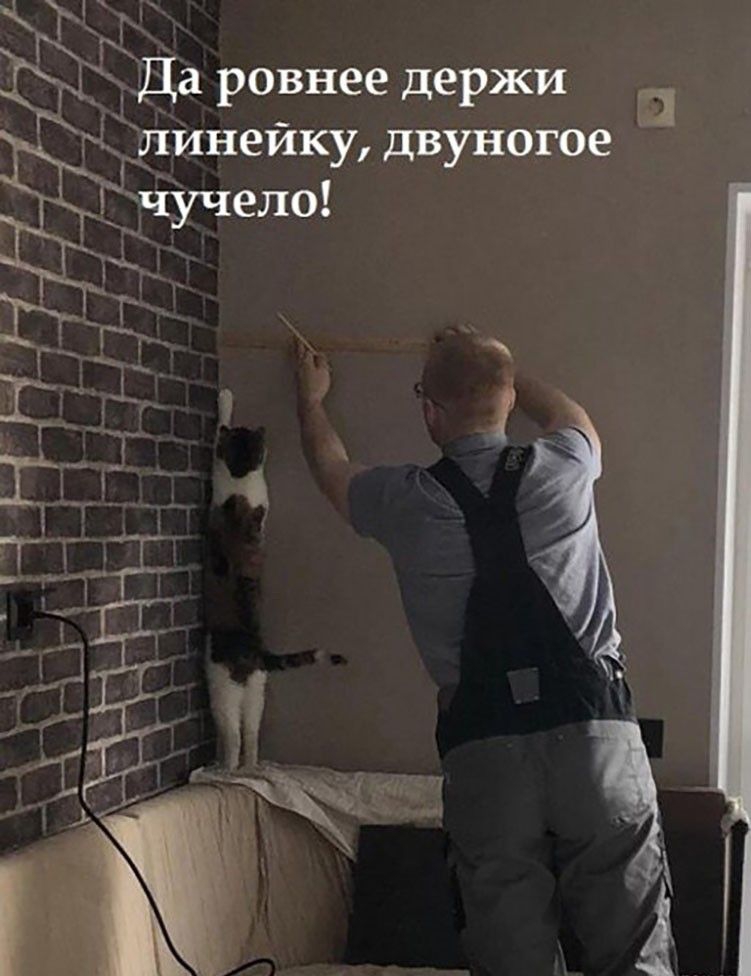 кък ЁДа ровнее держи Длинейку двуногое