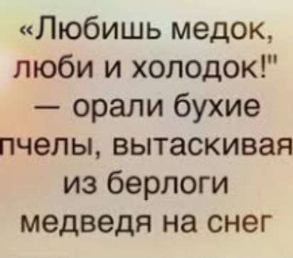 Любишь медок люби и холодок орали бухие пчелы вытаскивая из берлоги медведя на снег
