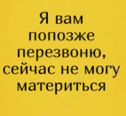 Я вам попозже перезвоню сейчас не могу материться