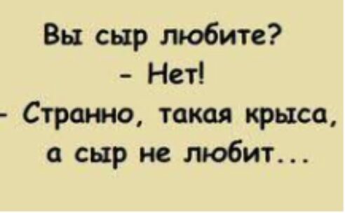 Вы сыр любите Нет Странно такая крыса сыр не любит