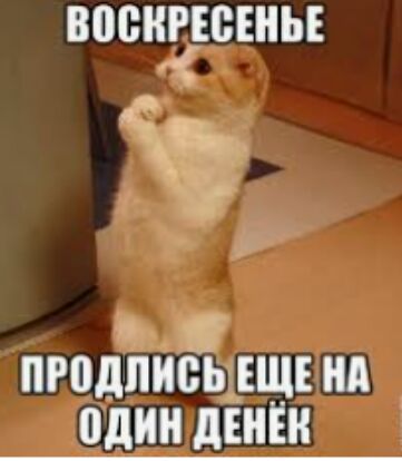 ВЁВНРЕБШЬЕ ПРВДПИСЬДЩЕ НА од дЕНЁН