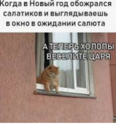 огда ОВЦИ год 0 ОЖРЗЛСЯ СВЛВТИКО И НГЛЯДЦПЭОШЬ ОКНО ОЖИДВНИИ СВПЮТВ