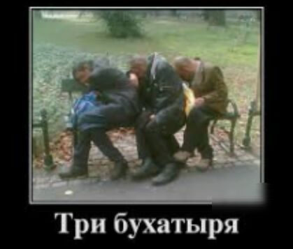 Три бухатыря