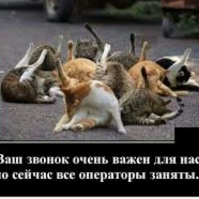ПШ звонок очень важен для П сейчас Ш опериторн ЗШЯШ