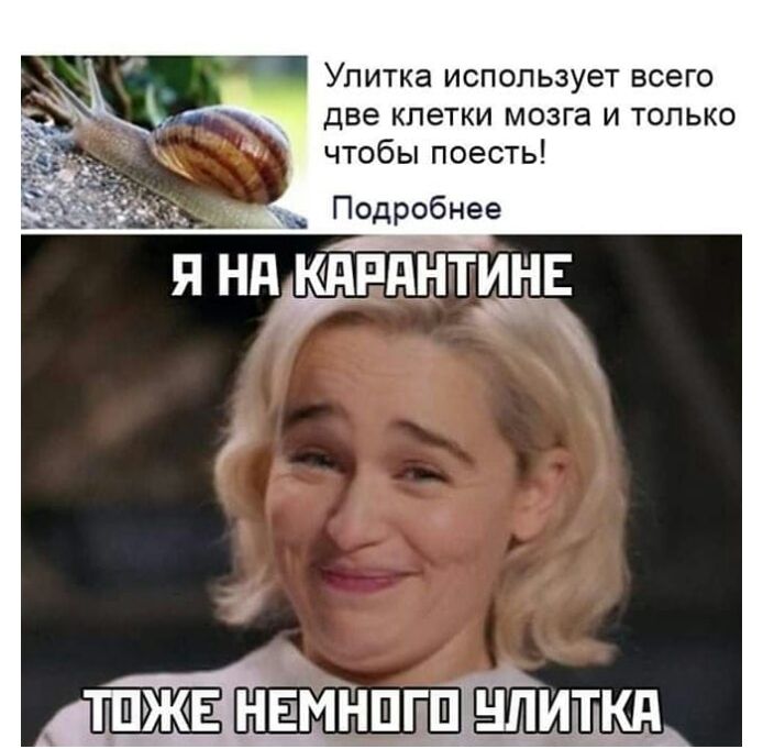 Улитка использует всего две клетки мозга и только чтобы поесть д __ Подробнее Я Нд КПРПНТИНЕ