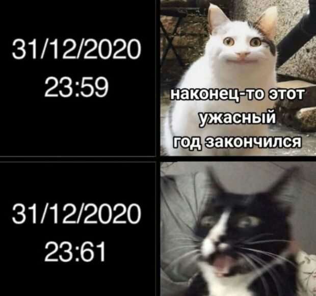 31122020 2361
