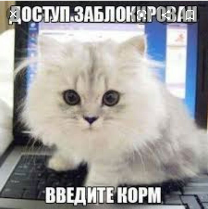ввшищвнпгм