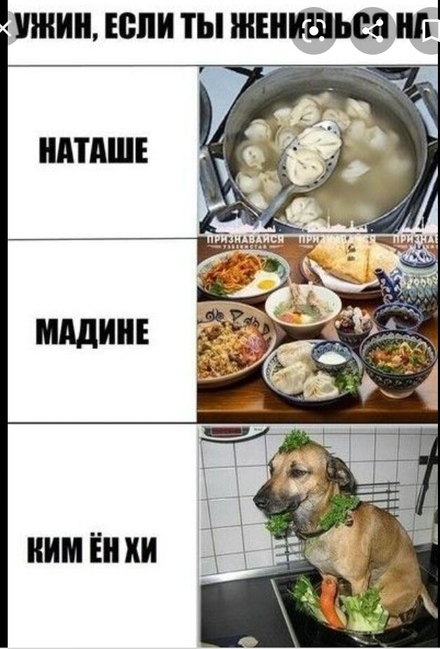 шнин Если ты жениться нп МАШ