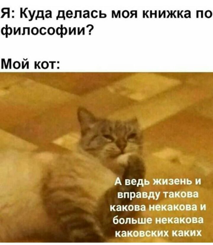 Я Куда делась моя книжка по философии Мой кот А ведь жизень и вправду такова какова некакова и больше некакова каковских каких