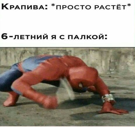 КРАПИВА просто РАстЁт блвтний я с ПАлкой