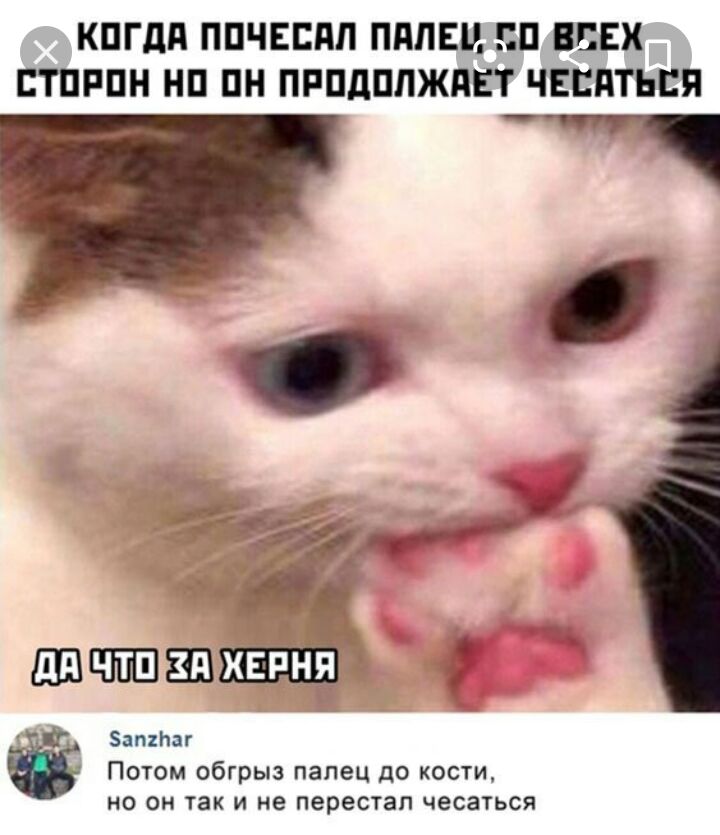 КПГдд ППЧЕБПП ПАЛЕЦ П ВБЕХ ЕТПРПН НП ПН ПРПДПЛЖПЕТ ЧЕЕПТЬЕЯ Мчтп Замнаг Потом обгрыз палец до кости но он так И не перестал чесаться