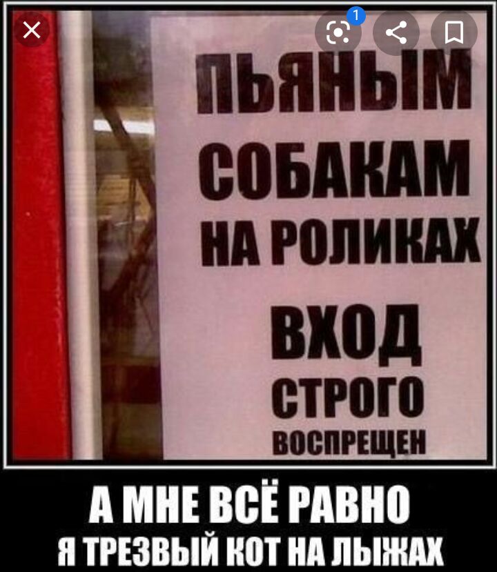 1 вход строго А мире гдвно я трезвым нот нд пыжик