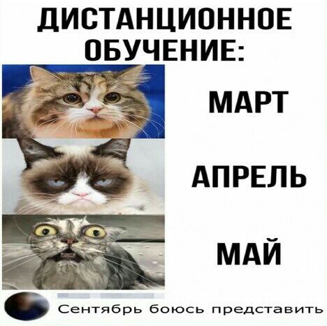 дистднционнов ОБУЧЕНИЕ МАРТ АПРЕЛЬ МАЙ Сентябрь боюсь представить