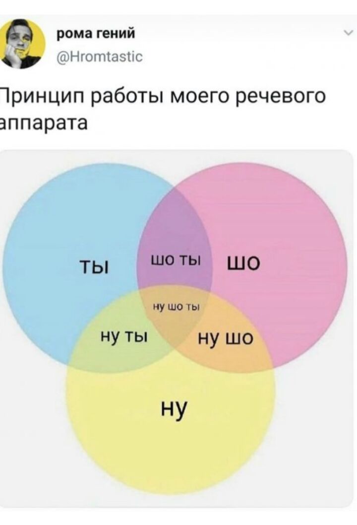 рома гений Нготіазкіс ринцип работы моего речевого аппарата