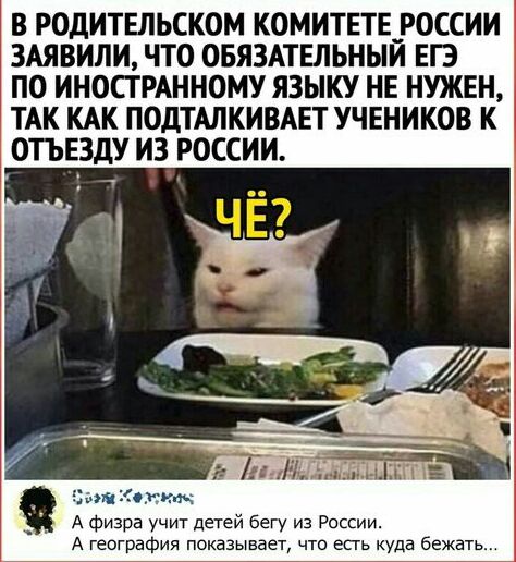 В РОДИТЕЛЬСКОМ КОМИТЕТЕ РОССИИ ЗАЯВИЛИ ЧТО ОБЯЗАТЕЛЬНЫЙ ЕГЭ ПО ИНОСТРАННОМУ ЯЗЫКУ НЕ НУЖЕН ТАК КАК ПОДТАПКИВАЕТ УЧЕНИКОВ К ОТЬЕЗДУ ИЗ РОССИИ дЛяШМ ті Кот нк _ А Физра учит детей бегу из России А география показывает что епь куда бежать