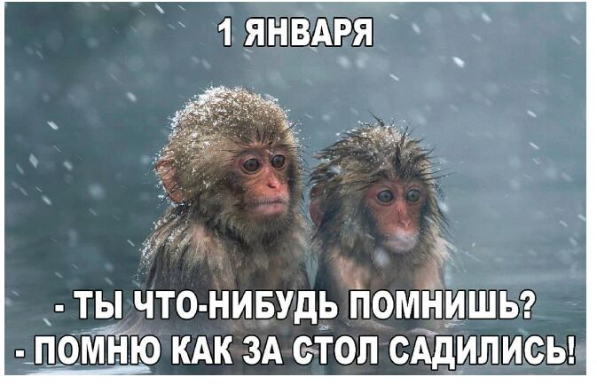 _ _ 1янвАря ъ в ТЫ ЧТО НИБУДЬ ПОМННШЬ Чг ПОМНЮ КАК ЗА СТОЛ САДИЛИСЬ