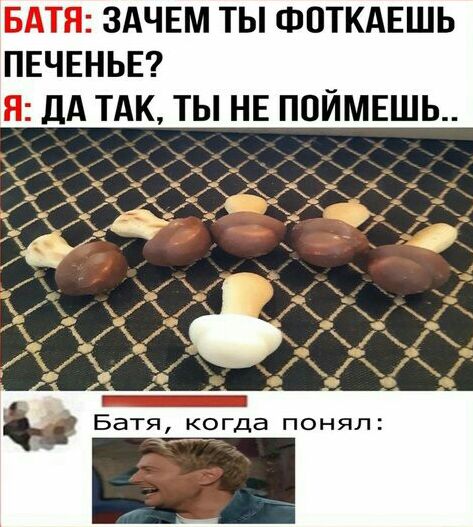 БАТЯ ЗАЧЕМ ТЫ ФОТКАЕШЬ ПЕЧЕНЬЕ Я ДА ТАК ТЫ НЕ ПОЙМЕШЬ огда ПОНЯЛ