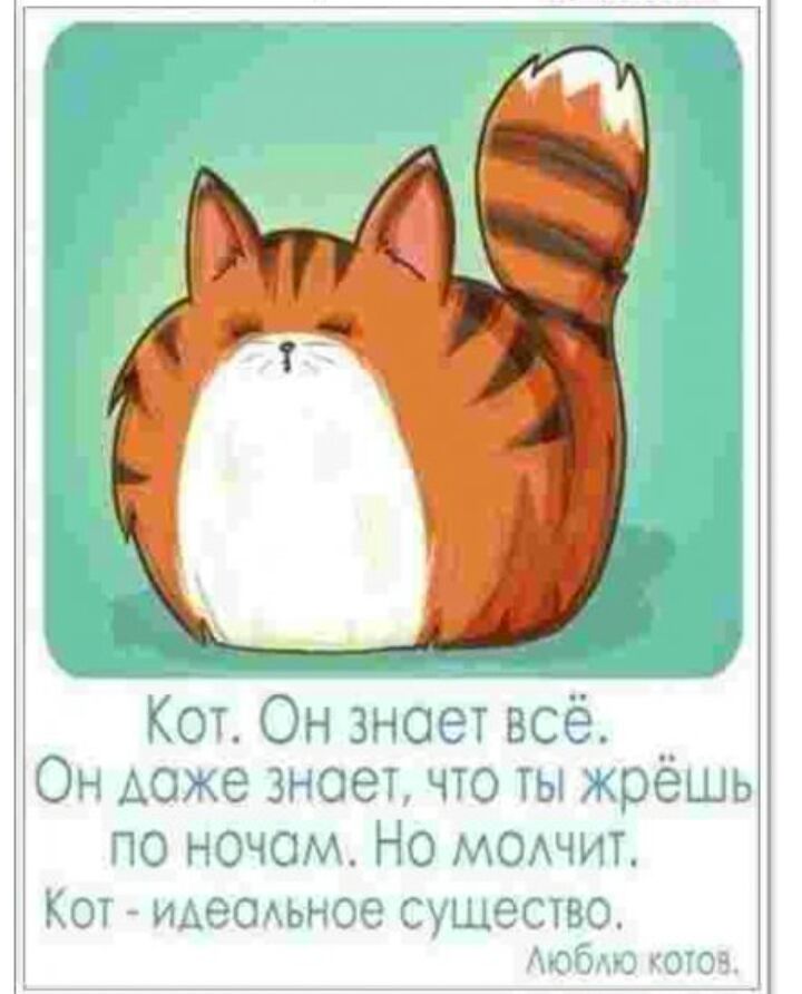 КОТ Он Знает всё __ Оэ езнзег что ты жрешо