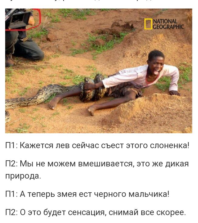 П1 Кажется лев сейчас съест этого слоненка П21Мы не можем вмешивается это же дикая природа П1 А теперь змея ест черного мальчика П2 О это будет сенсация снимай все скорее