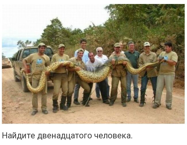 Найдите двенадцатого человека