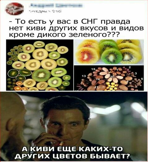 То есть у вас в СНГ правда нет киви других вкусов и видов кроме дикого зеленого А КИВИ ЕЩЕ КАКИХ ТО АРУГИХ ЦВЕТОВ БЫВАЕТ
