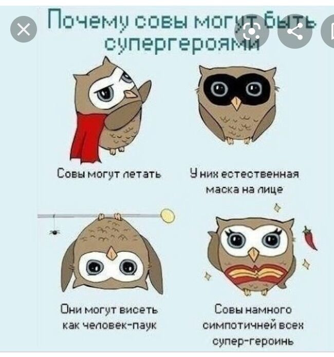 ЁЁЁПЁЪЁЁЁДЁЁФ СОВН МОГУТ НЕТЗТЬ Н НИК ЕСТЕСТВЕИНЗЯ маска на ЛИЦЕ Они могут висеть Совы намного как чеповек паук симпотичней воен супер героинь