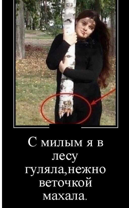 т 3 г С МИЛЫМ я в лесу гуляланежно веточкой махала
