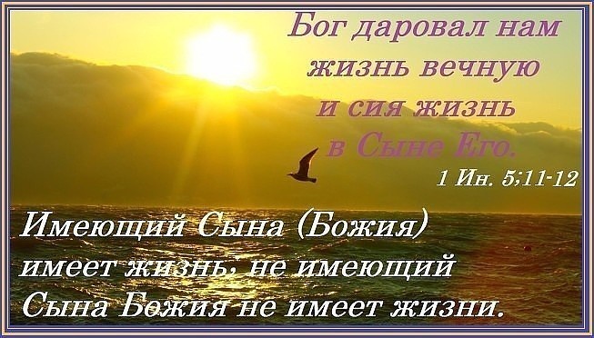 Ид 511 12 БОЖИЯ ЩеЮЩИЙ
