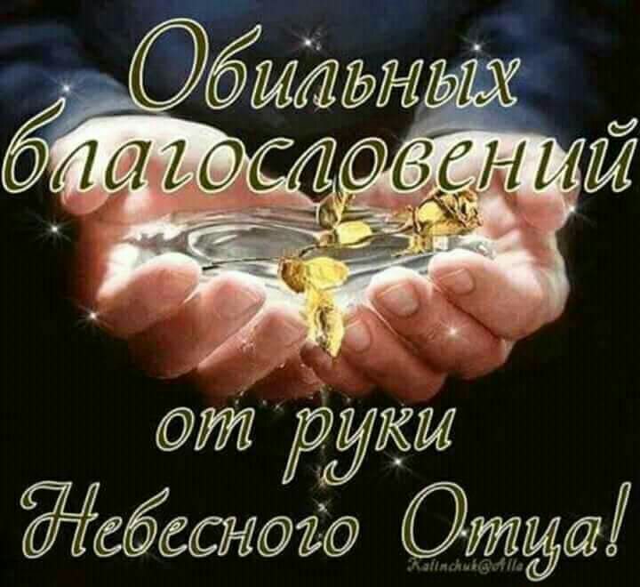 т руки абсснтд
