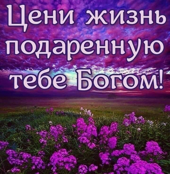 Цени жиднь подарёвНУЮ ФёбёЧБГ ____ к _ чт г С А лд