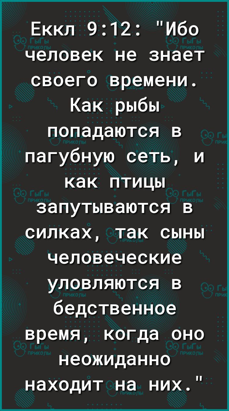 Еккл 912 Ибо человек не знает своего времени Как рыбы попадаются в пагубную сеть и как птицы запутываются в силках так сыны человеческие уловляются в бедственное время когда оно неожиданно находит на них