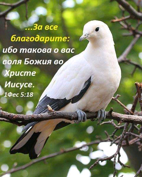Ь ибо такова о вас