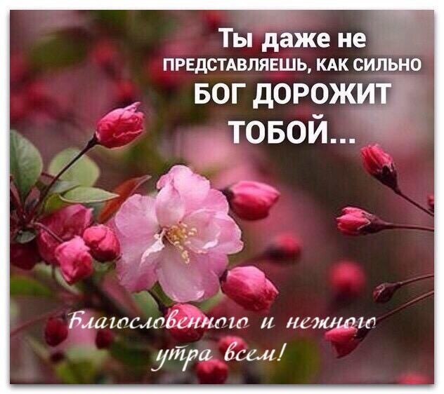 Ты даже не ПРЕДСТАВЛЯЕШЬ КАК СИЛЬНО Бмшщбшллш И ней1016 утра Ёсем