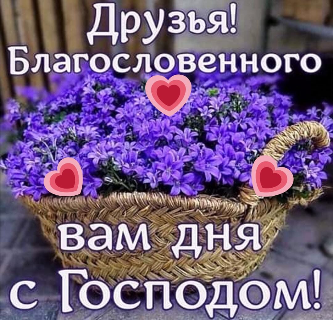 д тц И ч и