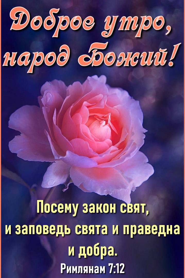 Забрав утро народ обойти Посему закон ст и заповедь свята и праведна и добра Римлянам 712