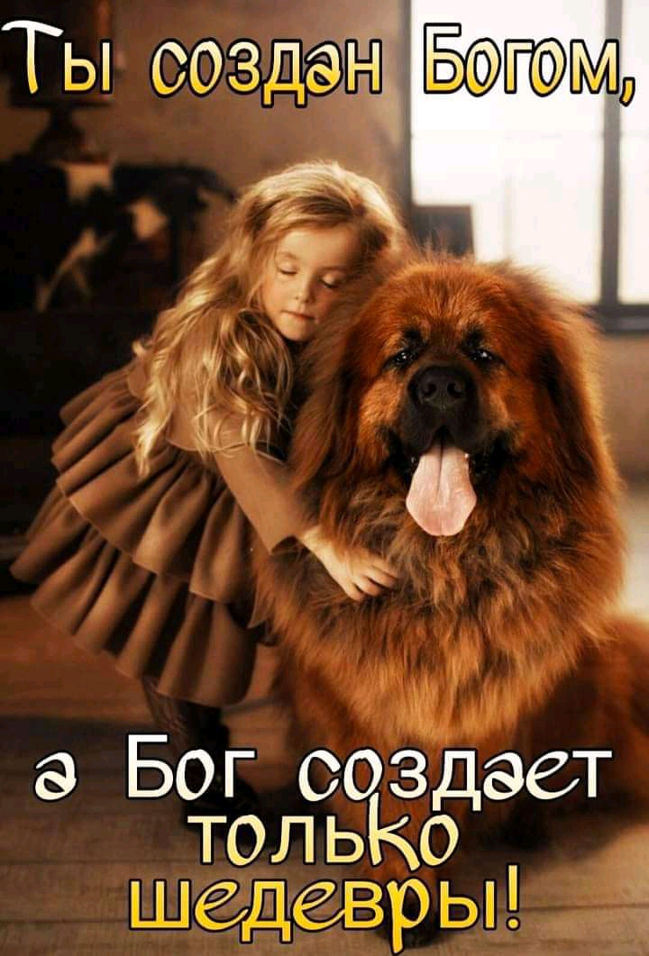 Ты создай Щ Юд Бог создает топьКо шедевры