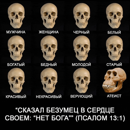 а мужчинд ЖЕНЩИНА черный Белый БОГАТЫЙ БЕДНЫЙ молодой СТАРЫЙ красивый НЕКРАСИВЫЙ ВЕРУЮЩИЙ АТЕИСТ СКАЗАЛ БЕЗУМЕЦ В СЕРДЦЕ СВОЕМ НЕТ БОГА ПСАЛОМ 131
