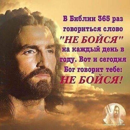 В Библии 565 раз говориться слово НЕ БОЙСЯ на кажды день в