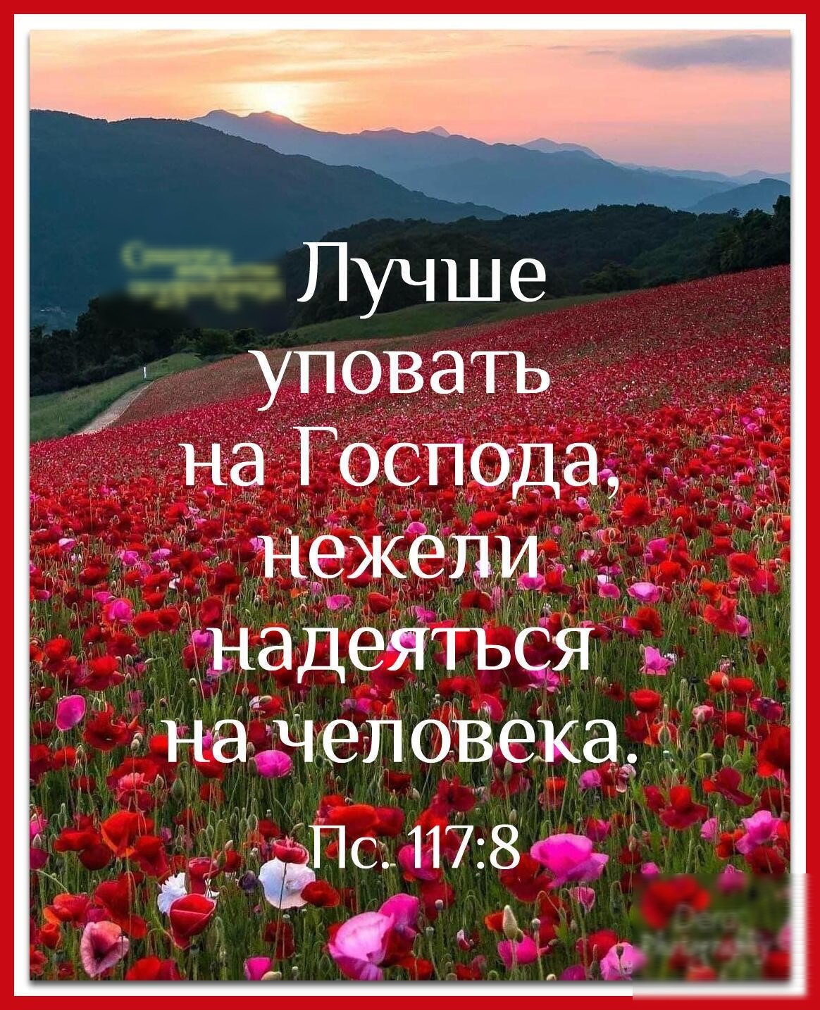 надеяться на человека