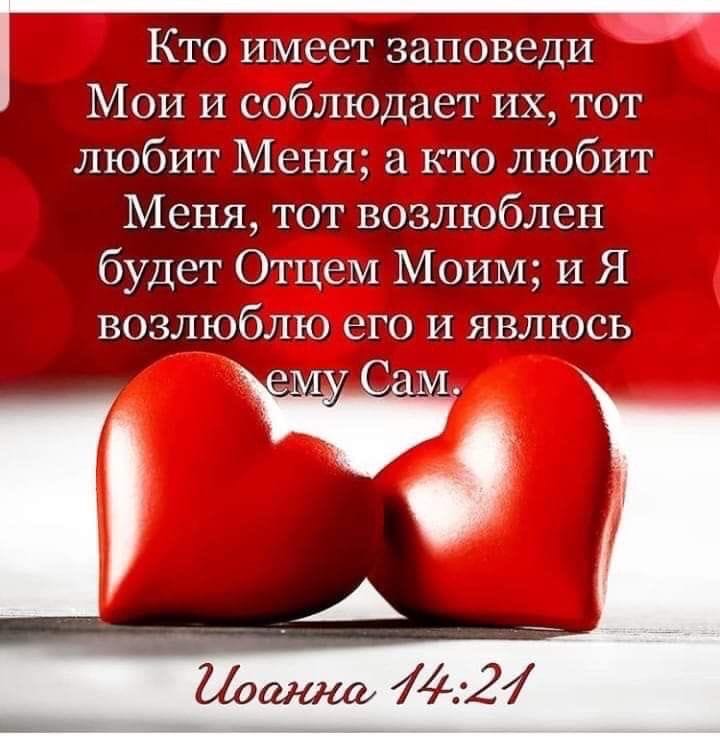 Кто имеет заповеди Мои и соблюдает их тот любит Меня кто любит Меня тот возлюблен будет ОтцеМ Моим и Я возлюблю его и явлюсь Ёі да 2