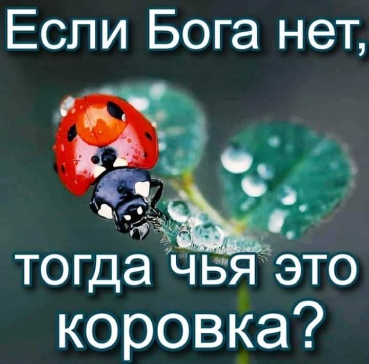 Если Бога нет то гдаъчья это коровка
