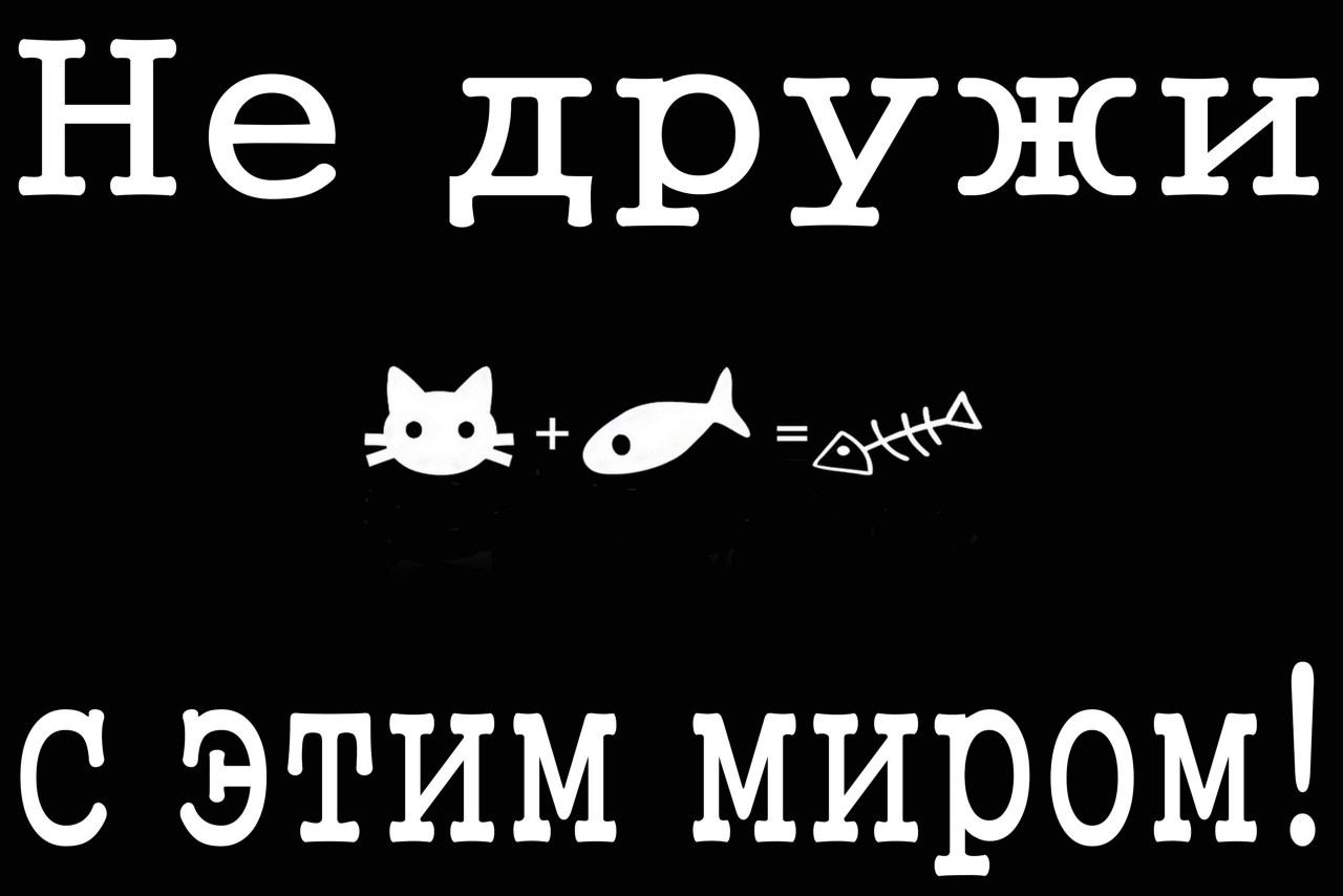 Не дружи Мщйиж с этим миром