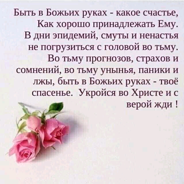 Быть в Божьих руках какое счастье Как хорошо принадлежать Ему В дни эпидемий смуты и ненастья не погрузиться с головой во тьму Во тьму прогнозов страхов и сомнений во тьму унынья паники и лжы быть в Божьих руках твоё спасенье Укройся во Христе и с верой жди