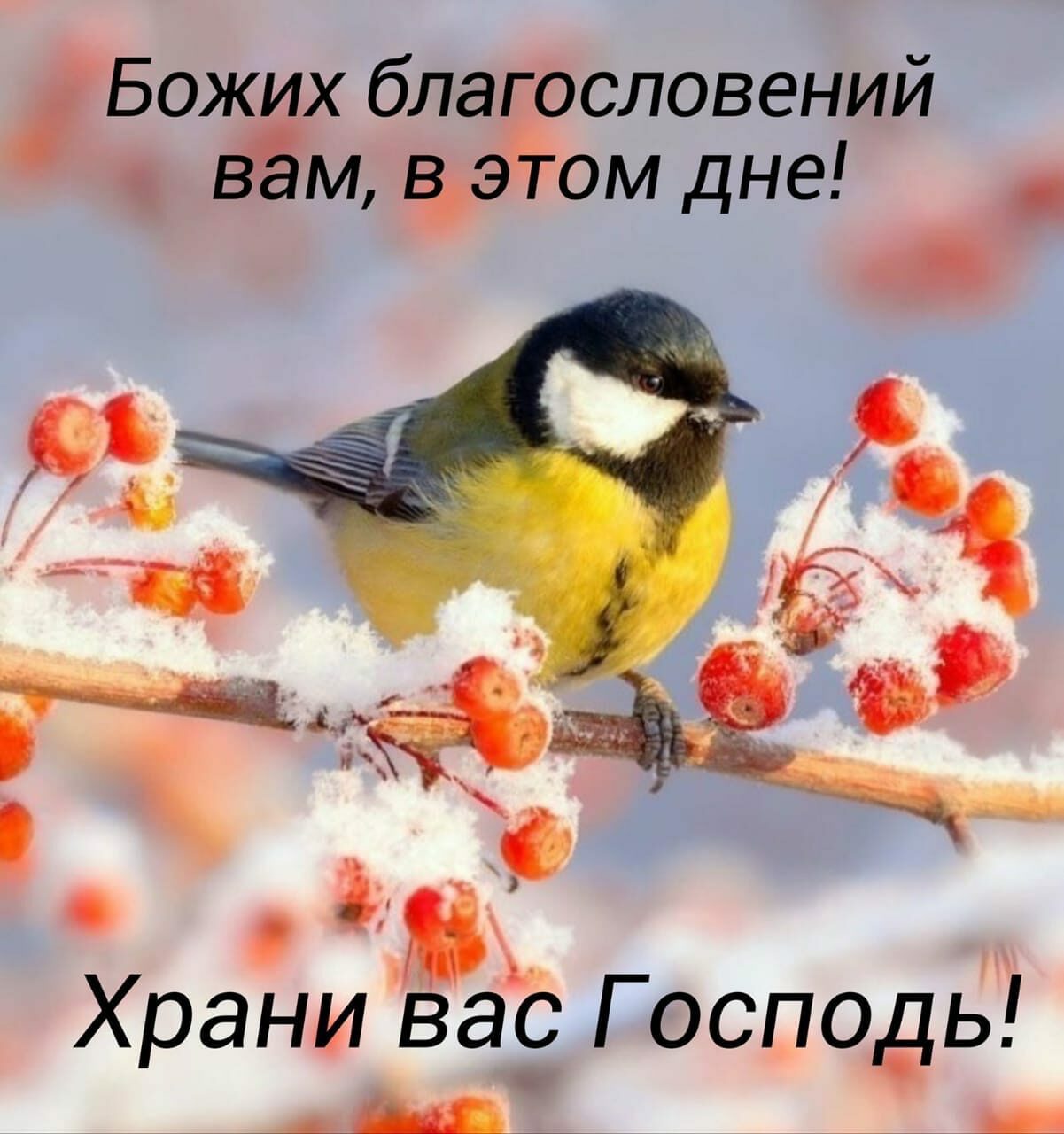 Божих благословений вём эёом дне Храни вас Г осподь __ 4