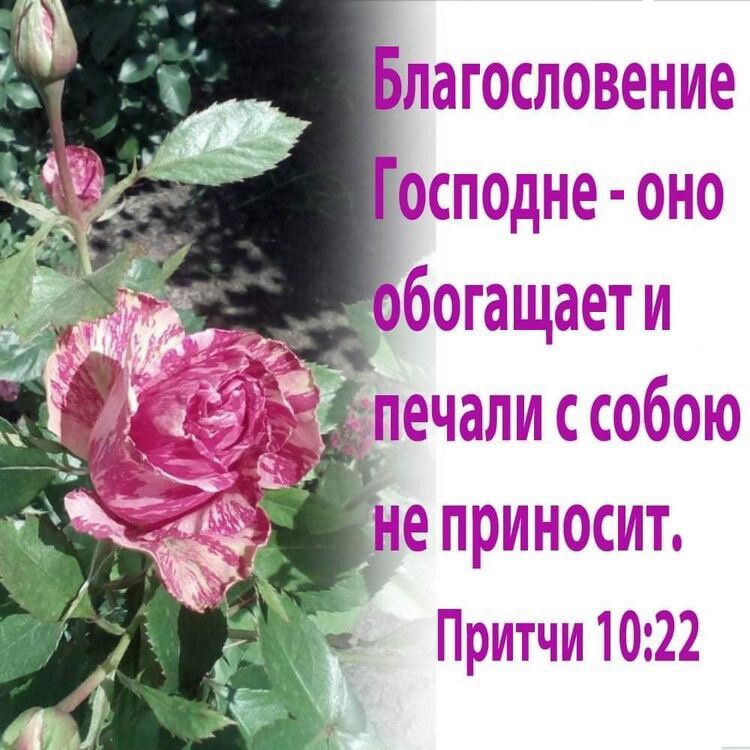 я ЬатН МСДНпН 15 3 __ 5рыъ Пвэзпдтчът 322