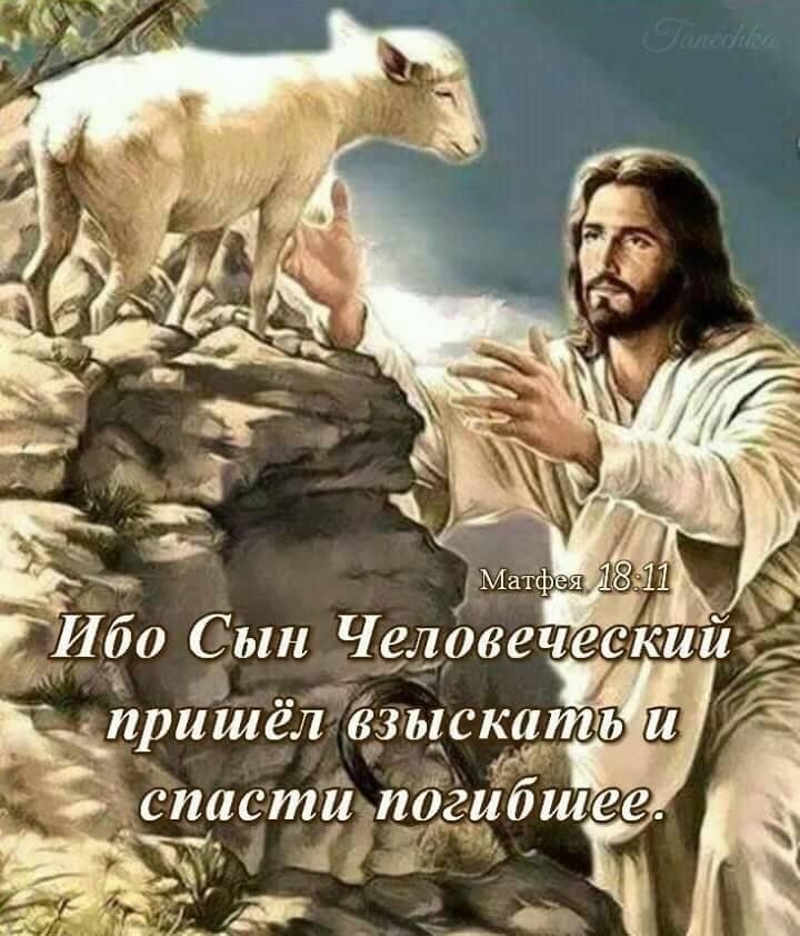 Матфч ГИбо Сын Человечески