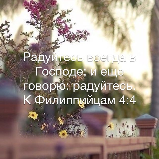гово радуйт КФилипщейцам 44 _ _ и ш 3 т 17 5 7