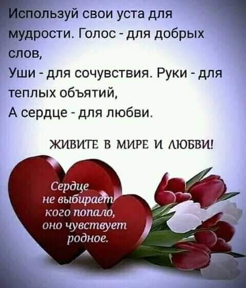 ользуй свои уста для мудрости Голос для добрых слов Уши для сочувствия Руки для теплых объятий А сердце для любви ЖИВИТЕ В МИРЕ И АЮБВИ Сердце не выбирай кого попала на чувствует родное